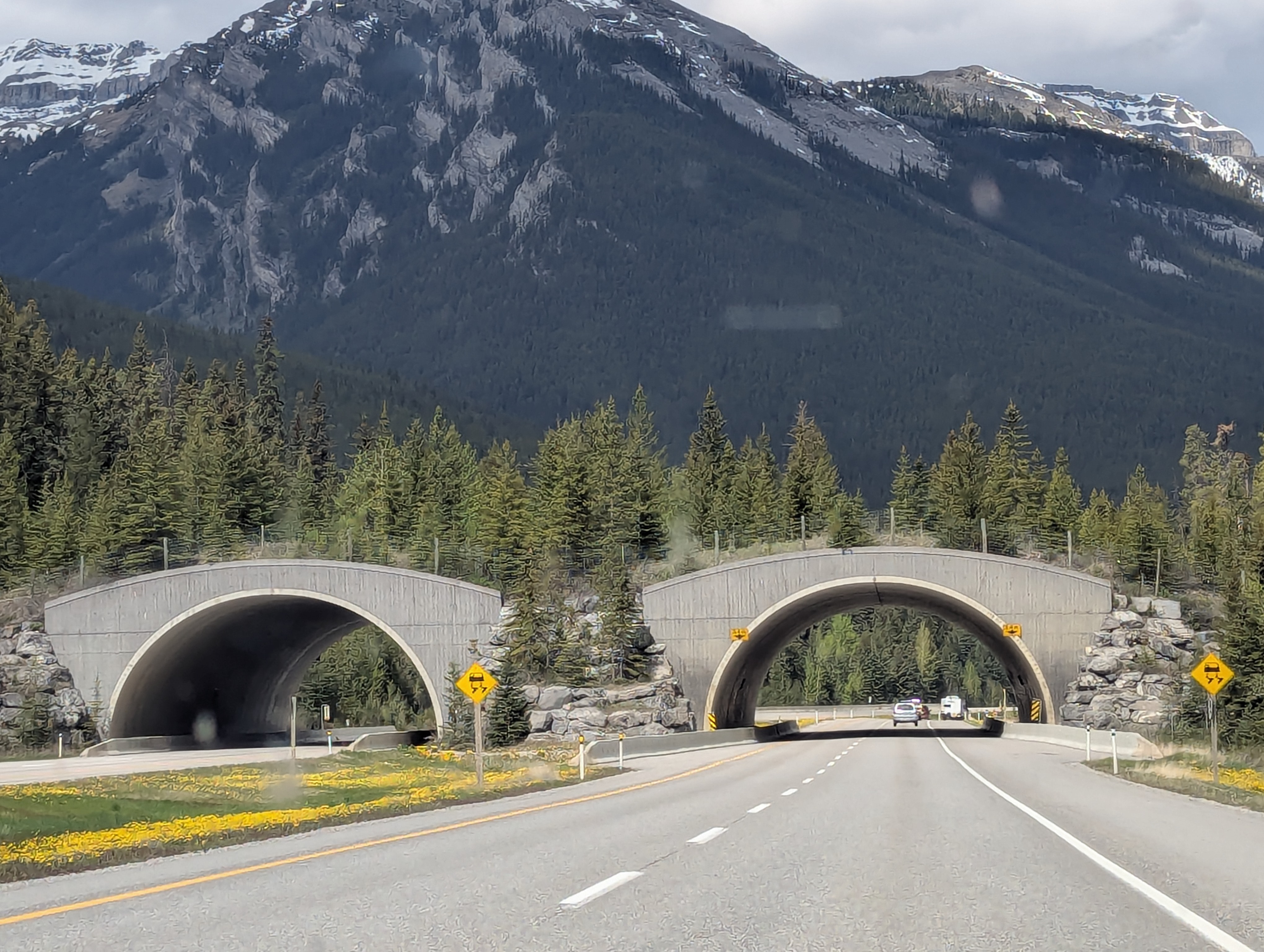 Birthday Trip to Canada, Canadian Rockies